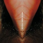 Обложка Venetian Snares – Duffy