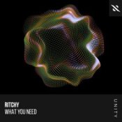 Обложка Ritchy – What You Need