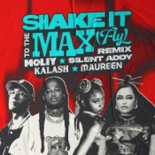 Обложка MOLIY & Silent Addy – Shake It To The Max (FLY) [Kalash & Maureen Remix]