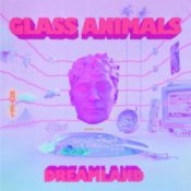Обложка Glass Animals – Heat Waves
