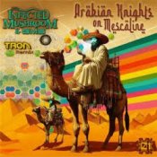 Обложка GMS & Infected Mushroom – Arabian Knights On Mescaline