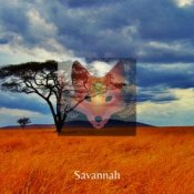 Обложка Savannah – Day After Day & Night