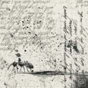 Обложка Jolliffe & Kublai & Verbz – Frames