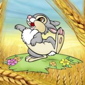 Обложка Ансамбль Проміньчик – Ой на горi жито