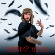 Обложка Гоня – Чорний лебідь