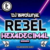 Обложка DJ Brownie – Rebel (Hexadecimal Remix)
