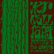 Обложка Apples In Stereo – Lying With A Friend