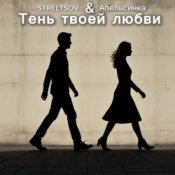 Обложка STRELTSOV & Апельсинка – Тень твоей любви