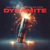 Обложка Shaun Baker & Mr. Explode & Dan Winter – Dynamite