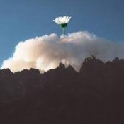 25/17 & Ёлка - Любовь во время чумы