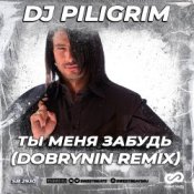 Dj Piligrim - Ты меня забудь