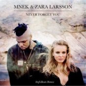 Обложка Mnek vs. Zara Larsson – Never Forget You (Stefiibeats Remix)