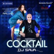 DJ Sava feat. Andreea D & J. Yolo – Money Maker