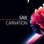 Обложка Gaia – Carnation
