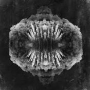 Обложка Owl Vision – Draug