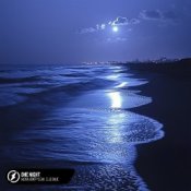 Обложка Alosa, Booty Leak, Elle Blue – One Night