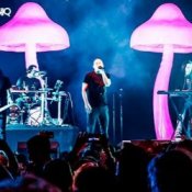 Обложка Infected Mushroom – Mixed by G Light live mix from Exotica Gold