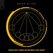 Обложка Pendulum & Armin van Buuren & Rob Swire – Sound of You