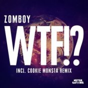 Обложка Zomboy – WTF!