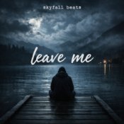 Обложка skyfall beats – leave me