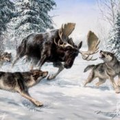 Обложка НАШЕСТВИЕ ЛЕГЕНД & Олег Стебловский – Волки - Эпическая Баллада