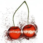 Обложка Garbage – Androgyny