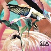 Обложка SZA – Castles