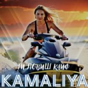 Обложка Камалия – Ти ловиш кайф