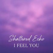 Обложка Shattered Echo – I Feel You