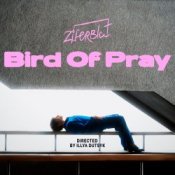 Обложка Ziferblat – Bird of Pray