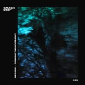 Обложка Deran K. – Dancing The Moonlight