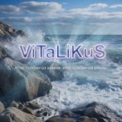 Обложка ViTaLiKuS – Кто создан из камня, кто создан из глины…