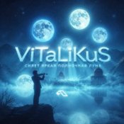Обложка ViTaLiKuS – Сияет яркая полночная луна…