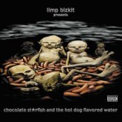 Limp Bizkit – Take A Look Around