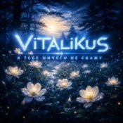 Обложка ViTaLiKuS – Я тебе ничего не скажу…