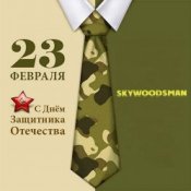 Обложка Dr.skywoodsman – 23 февраля
