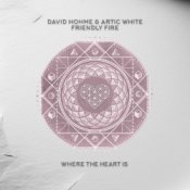 Обложка David Hohme & Artic White – Friendly Fire