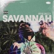 Обложка Savannah – Fight Your Way