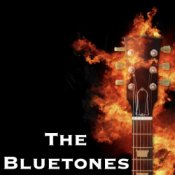 Обложка The Bluetones – String Along