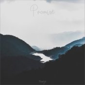 Обложка Nomyn – Promise