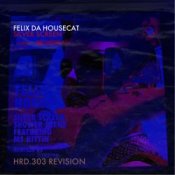 Обложка Felix Da Housecat – What She Wants
