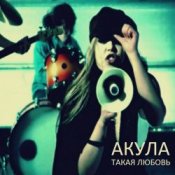 Обложка Акула – Такая любовь