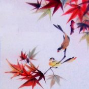 Обложка Мой Сосед Лао Цзы – Hello, Rou