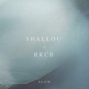 Обложка Shallou – Slow