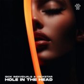 Обложка Sick Individuals & Vikkstar – Hole In The Head