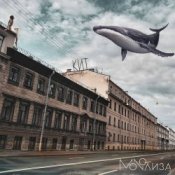 Обложка MONOЛИЗА – Карнизы