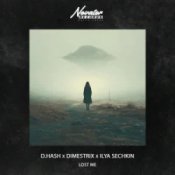 Обложка D.HASH & DIMESTRIX & ILYA SECHKIN – Lost Me