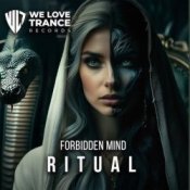 Обложка Forbidden Mind – Wanderer (Extended Mix)