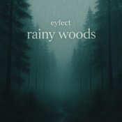 Обложка eyfect – rainy woods
