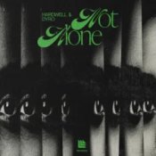 Hardwell & Dyro – Not Alone